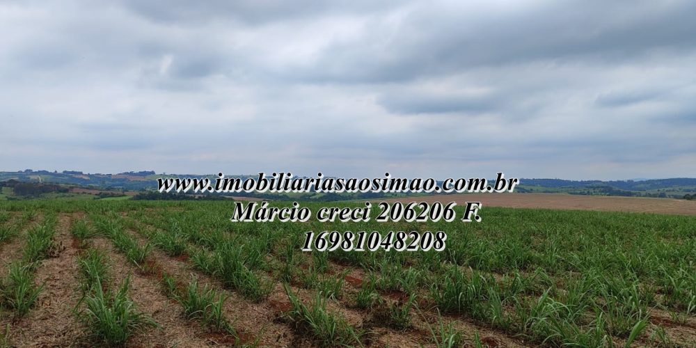 WhatsApp Image 2025-08-08 at 08.21.10 (2)