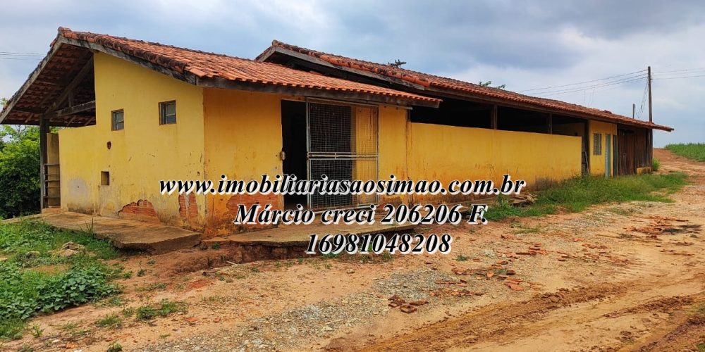 WhatsApp Image 2025-08-08 at 08.21.10