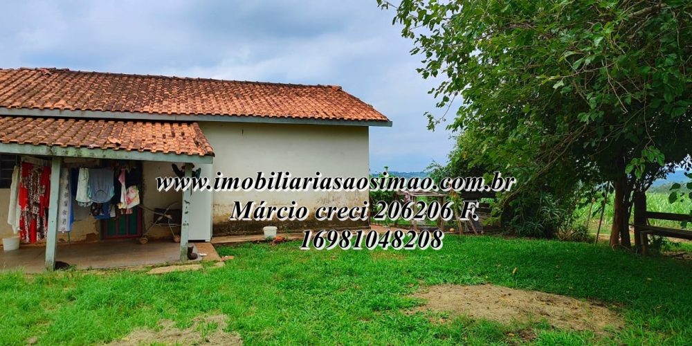 WhatsApp Image 2025-08-08 at 08.21.11 (1)