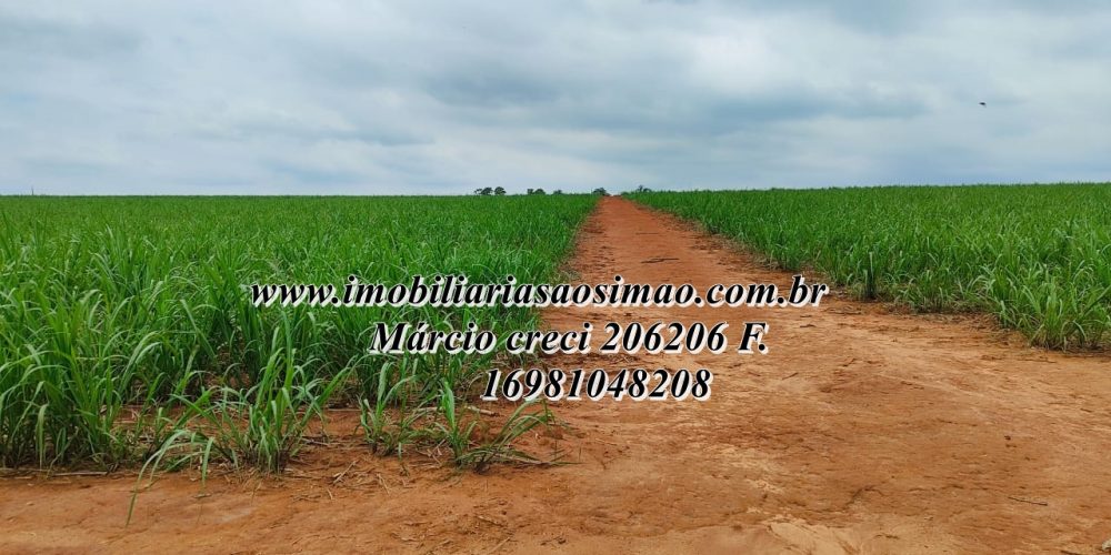 WhatsApp Image 2025-08-08 at 08.21.11