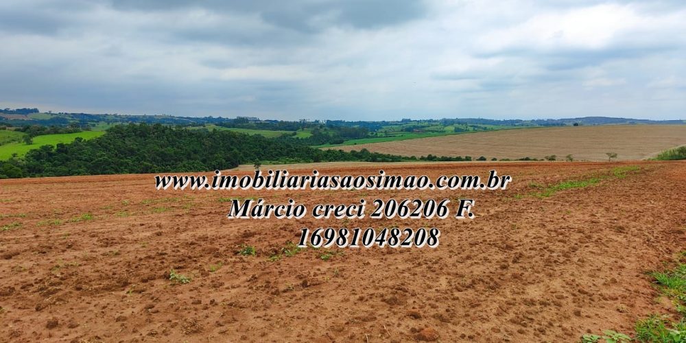 WhatsApp Image 2025-08-08 at 08.21.12