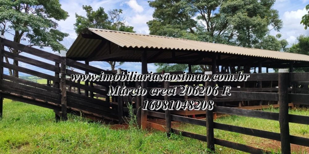 WhatsApp Image 2025-08-08 at 08.23.00