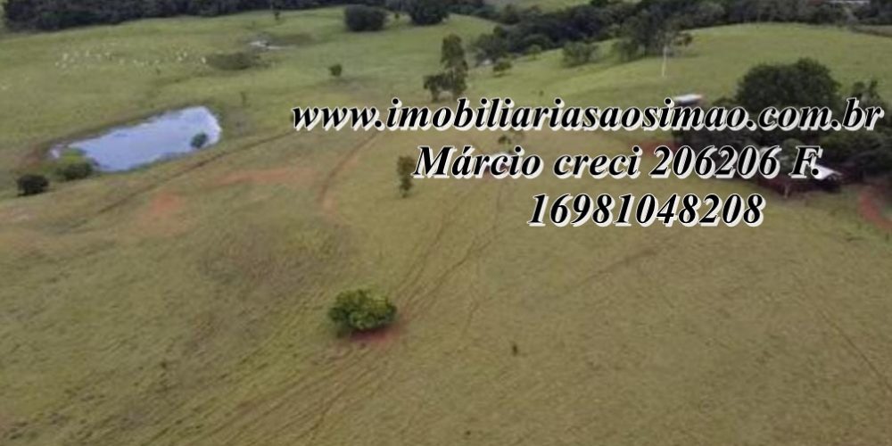 WhatsApp Image 2025-08-08 at 08.23.02