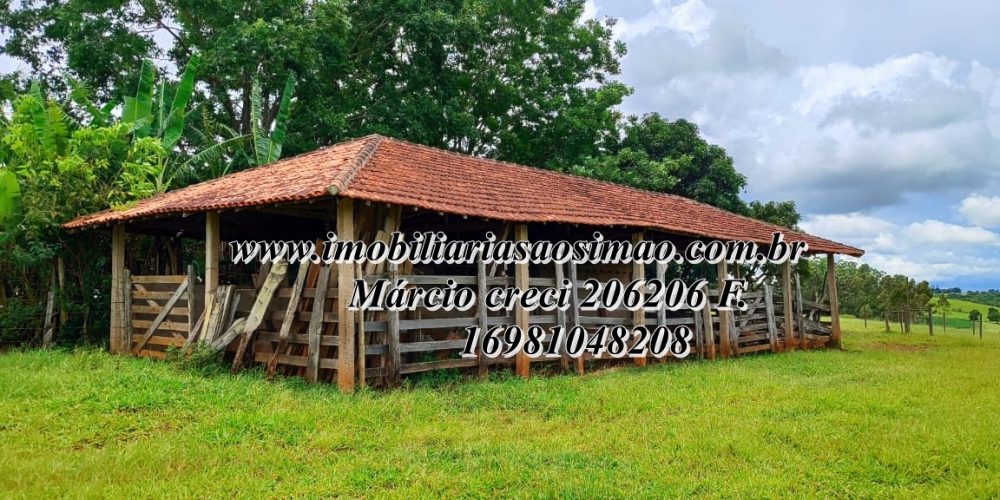 WhatsApp Image 2025-08-08 at 08.23.05 (1)