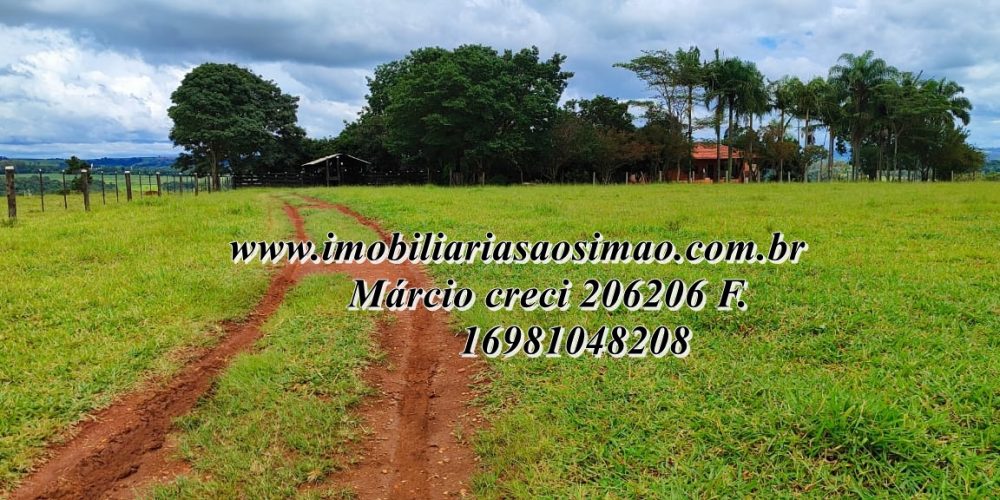 WhatsApp Image 2025-08-08 at 08.23.05 (2)