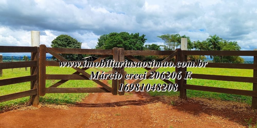 WhatsApp Image 2025-08-08 at 08.23.05