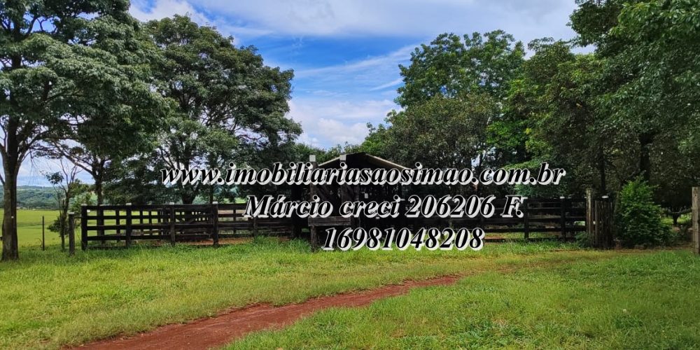 WhatsApp Image 2025-08-08 at 08.23.06 (2)