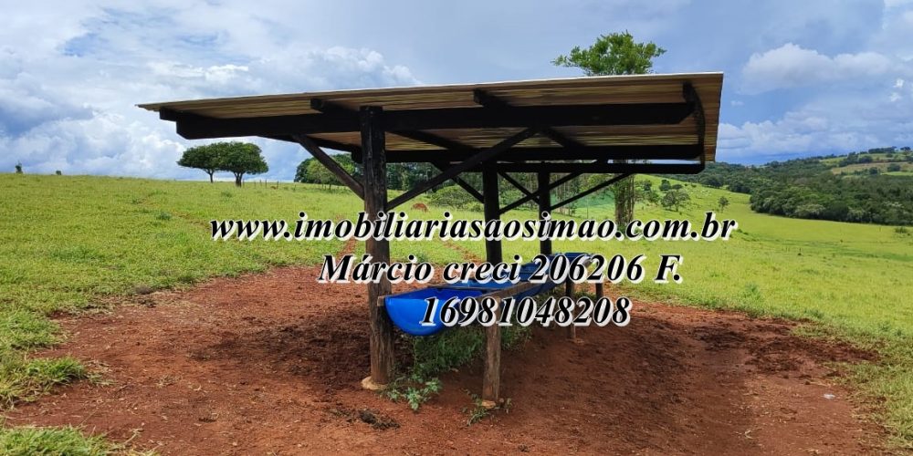 WhatsApp Image 2025-08-08 at 08.23.06