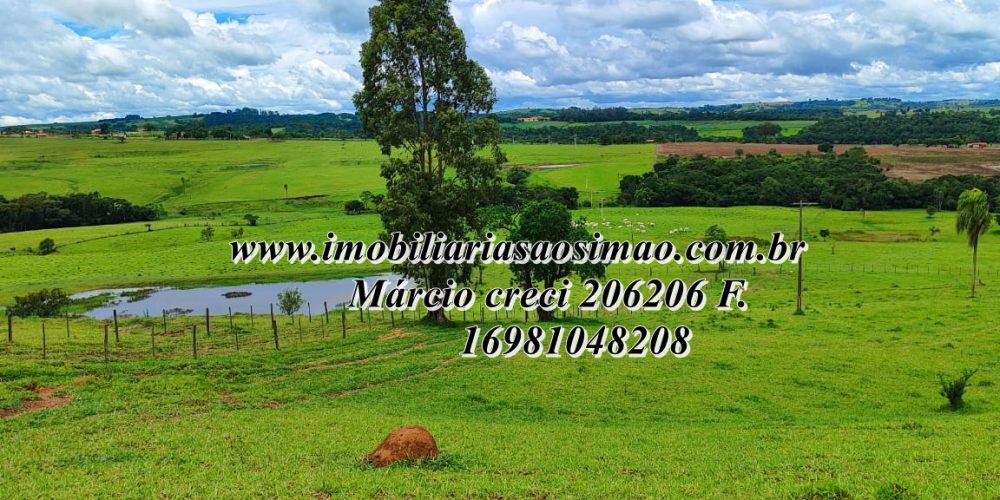 WhatsApp Image 2025-08-08 at 08.23.07 (1)