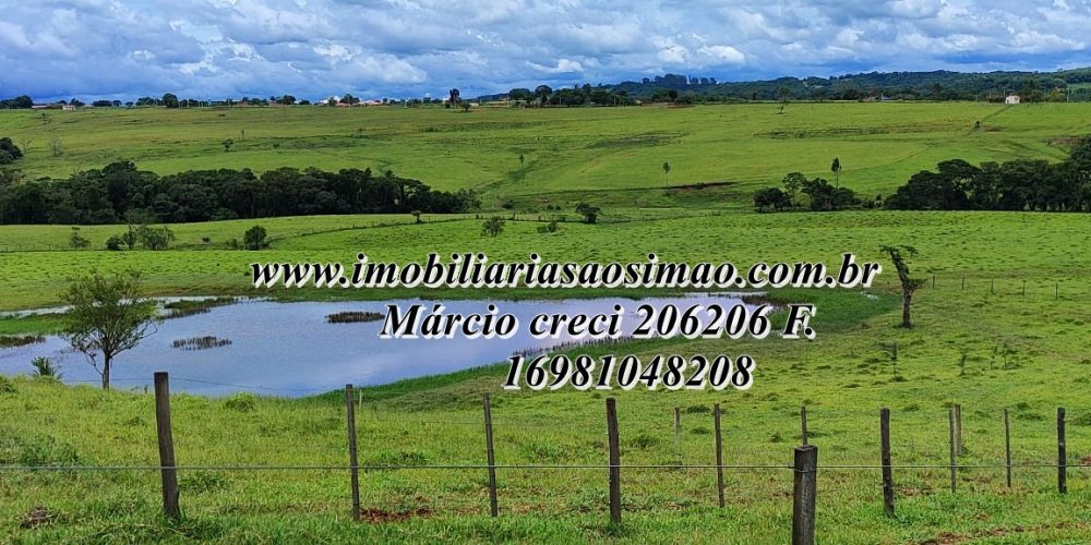 WhatsApp Image 2025-08-08 at 08.23.07 (3)