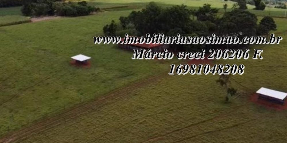 WhatsApp Image 2025-08-08 at 08.23.08 (1)