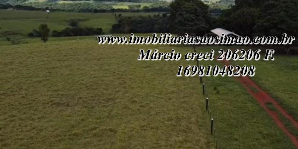 WhatsApp Image 2025-08-08 at 08.23.08