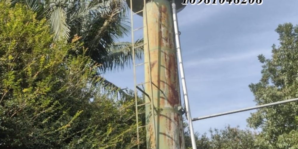 WhatsApp Image 2025-08-08 at 08.23.09