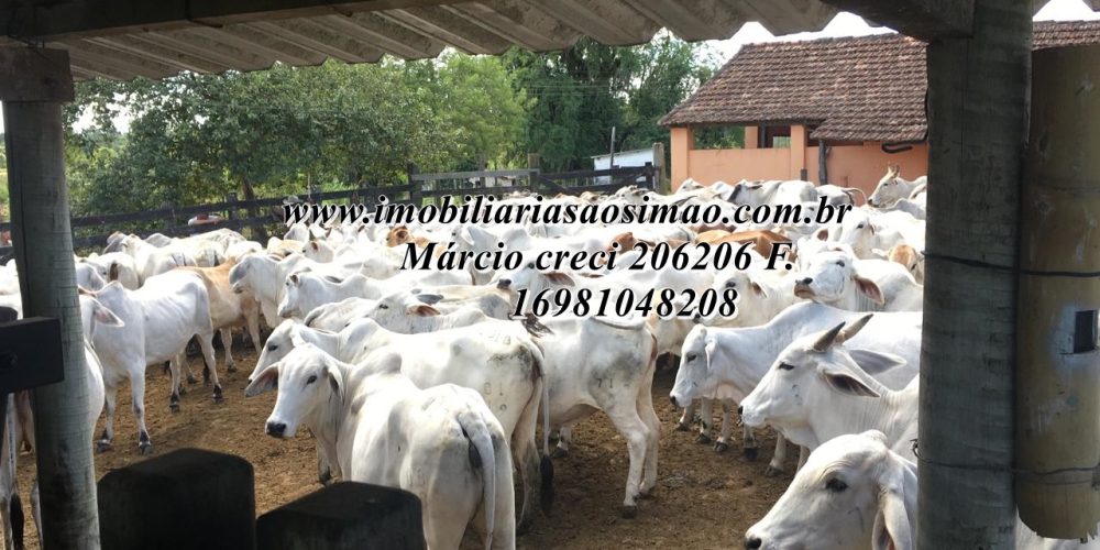 WhatsApp Image 2025-08-08 at 08.24.07 (3)