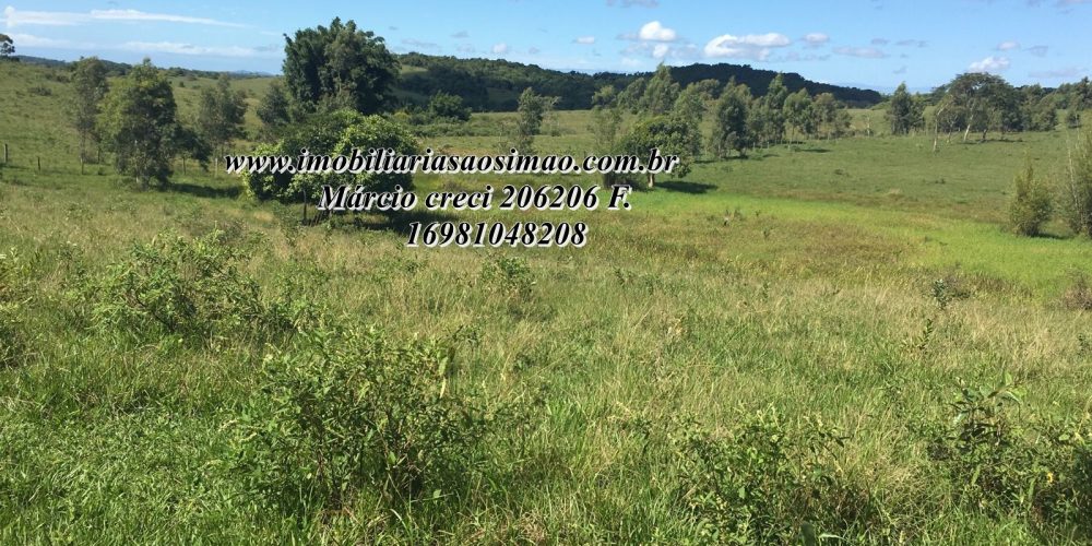 WhatsApp Image 2025-08-08 at 08.24.08