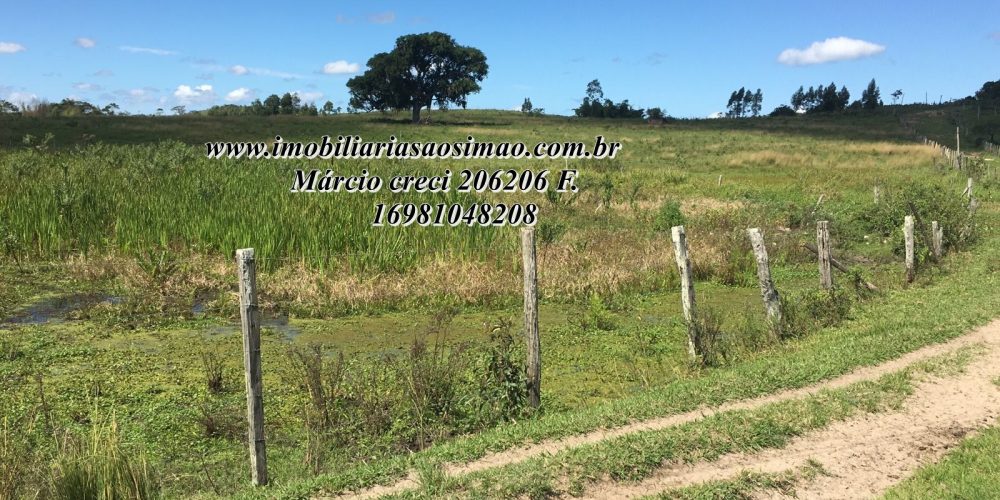 WhatsApp Image 2025-08-08 at 08.24.09