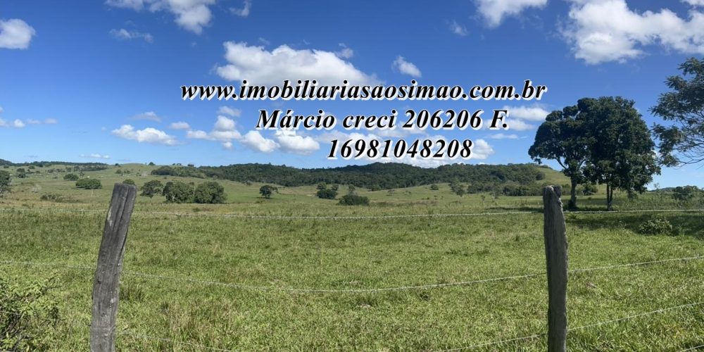 WhatsApp Image 2025-08-08 at 08.24.11