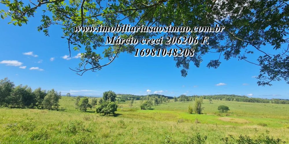 WhatsApp Image 2025-08-08 at 08.24.14 (1)