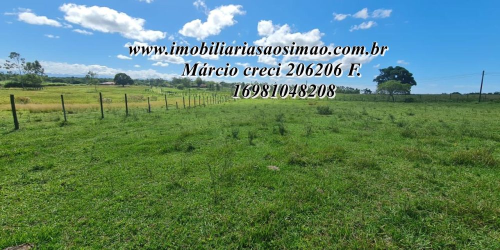 WhatsApp Image 2025-08-08 at 08.24.14