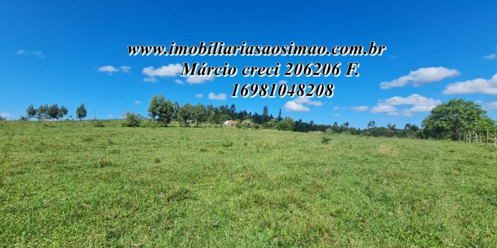 WhatsApp Image 2025-08-08 at 08.24.17 (2)