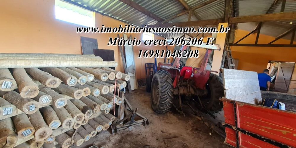 WhatsApp Image 2025-08-08 at 08.24.17