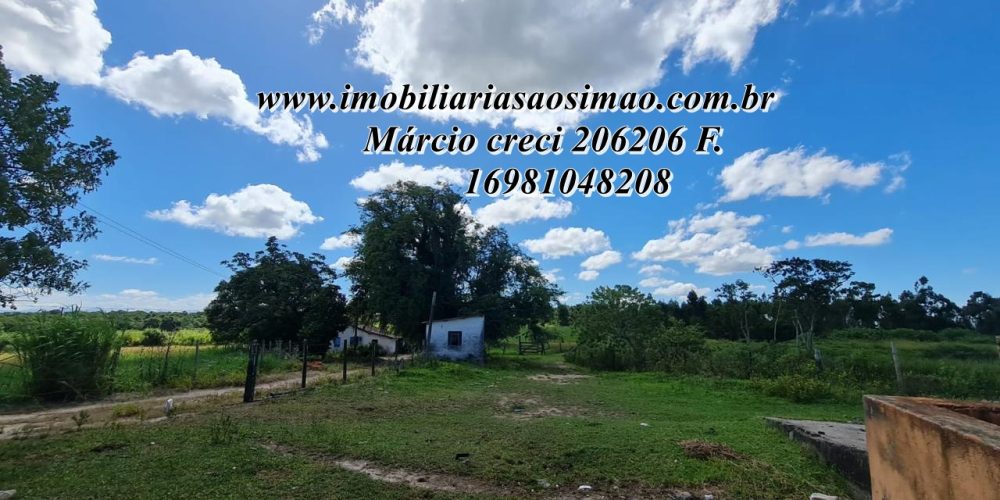 WhatsApp Image 2025-08-08 at 08.24.18 (1)