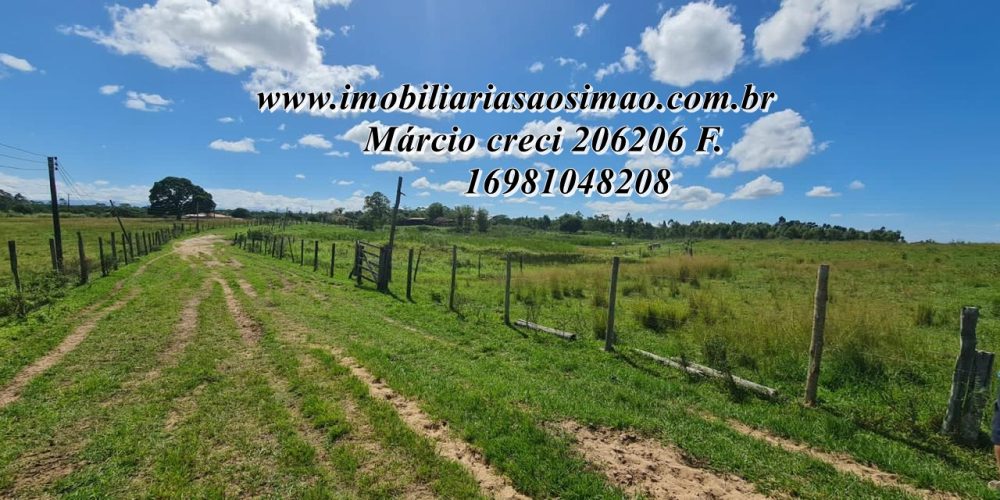 WhatsApp Image 2025-08-08 at 08.24.19 (2)