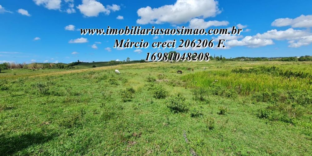 WhatsApp Image 2025-08-08 at 08.24.19 (3)