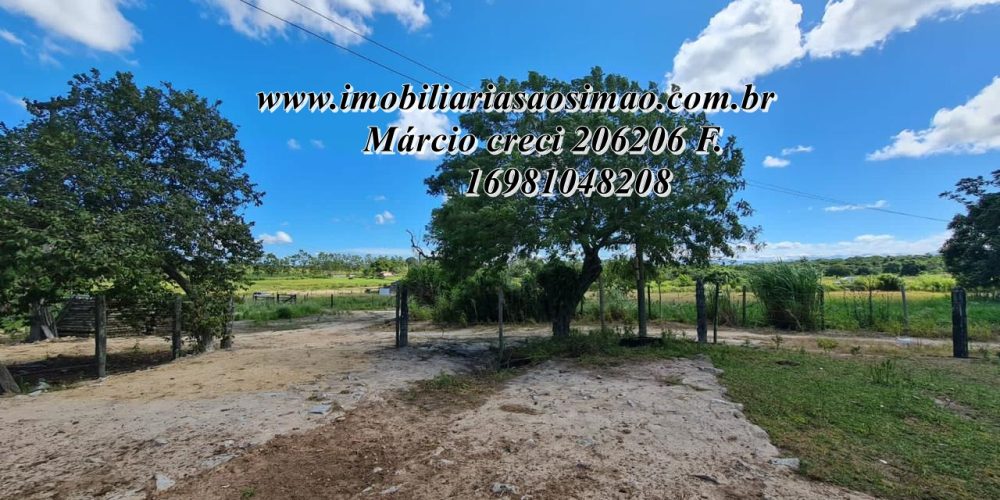 WhatsApp Image 2025-08-08 at 08.24.19