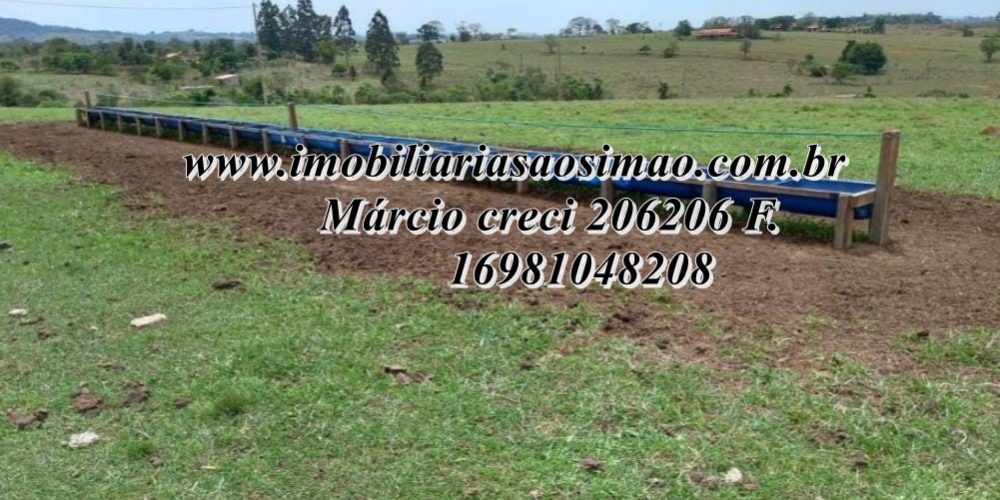 WhatsApp Image 2025-08-08 at 08.24.40 (1)