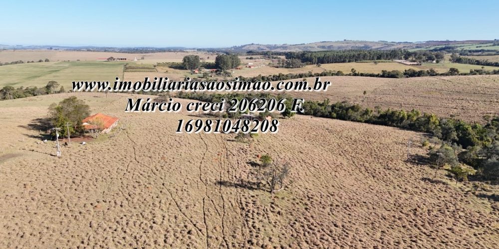 WhatsApp Image 2025-08-08 at 08.24.40