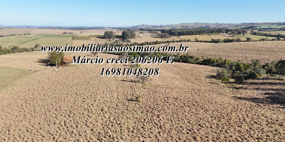 WhatsApp Image 2025-08-08 at 08.24.41