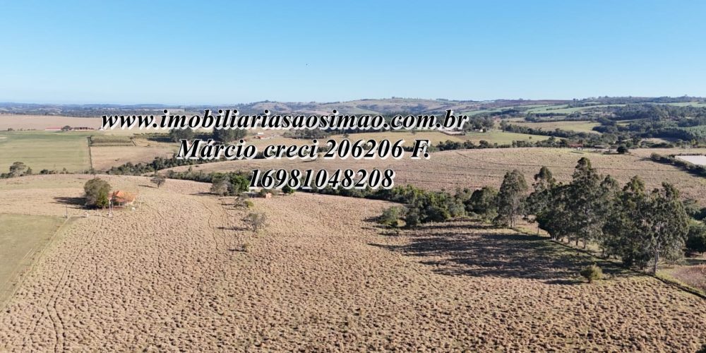 WhatsApp Image 2025-08-08 at 08.24.44 (1)