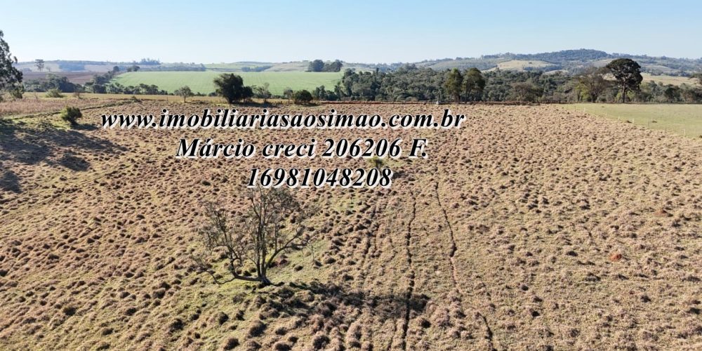 WhatsApp Image 2025-08-08 at 08.24.44 (2)