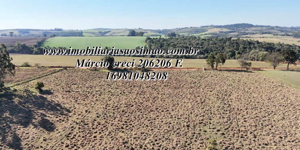 WhatsApp Image 2025-08-08 at 08.24.44