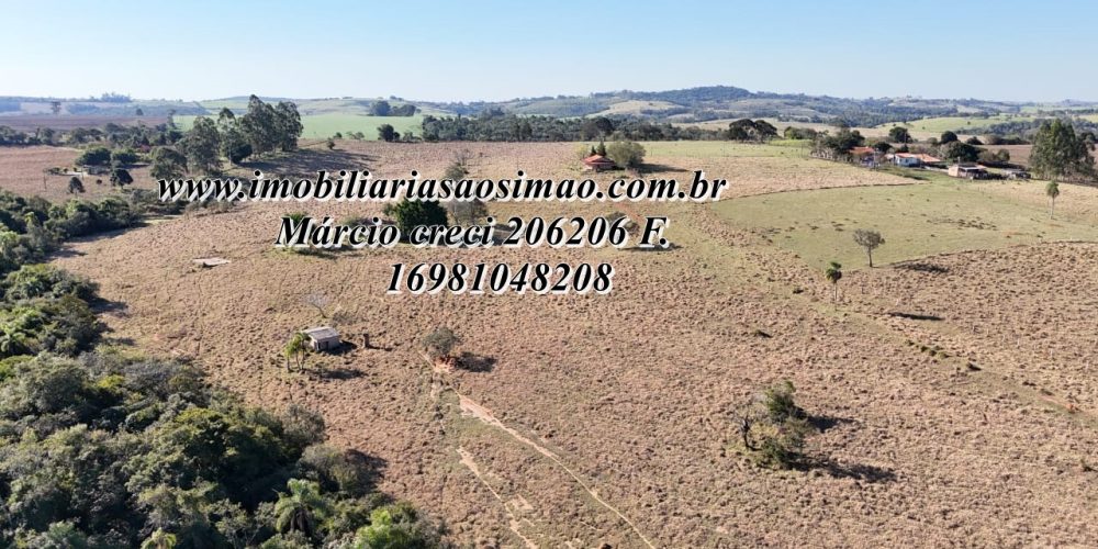 WhatsApp Image 2025-08-08 at 08.24.45