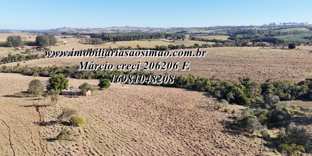 WhatsApp Image 2025-08-08 at 08.24.46 (2)