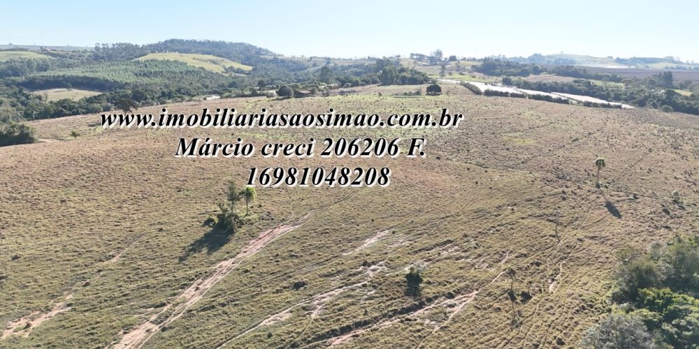 WhatsApp Image 2025-08-08 at 08.24.46