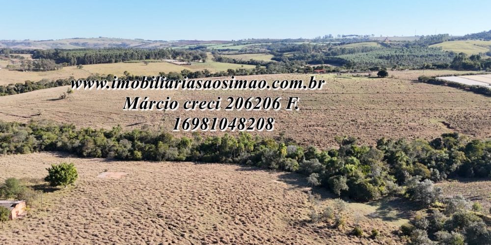 WhatsApp Image 2025-08-08 at 08.24.47 (1)