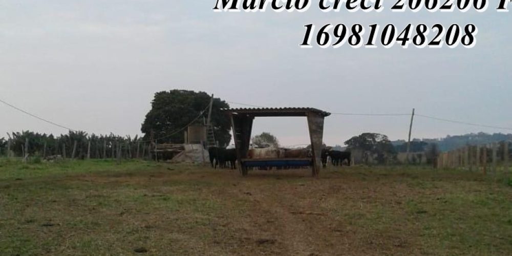 WhatsApp Image 2025-08-08 at 08.24.47