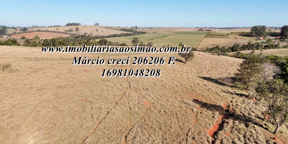 WhatsApp Image 2025-08-08 at 08.24.48