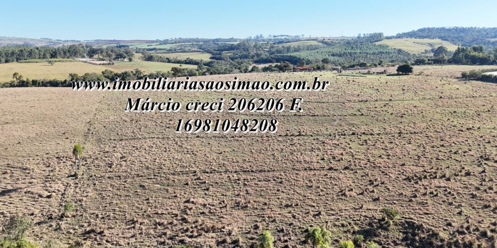 WhatsApp Image 2025-08-08 at 08.24.49