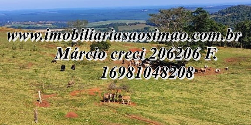 WhatsApp Image 2025-08-08 at 08.28.26