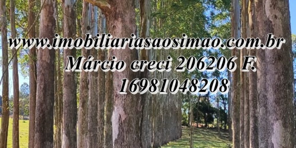 WhatsApp Image 2025-08-08 at 08.28.27