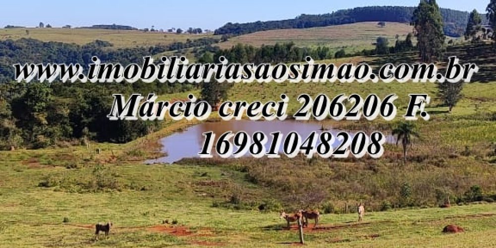 WhatsApp Image 2025-08-08 at 08.28.28 (1)