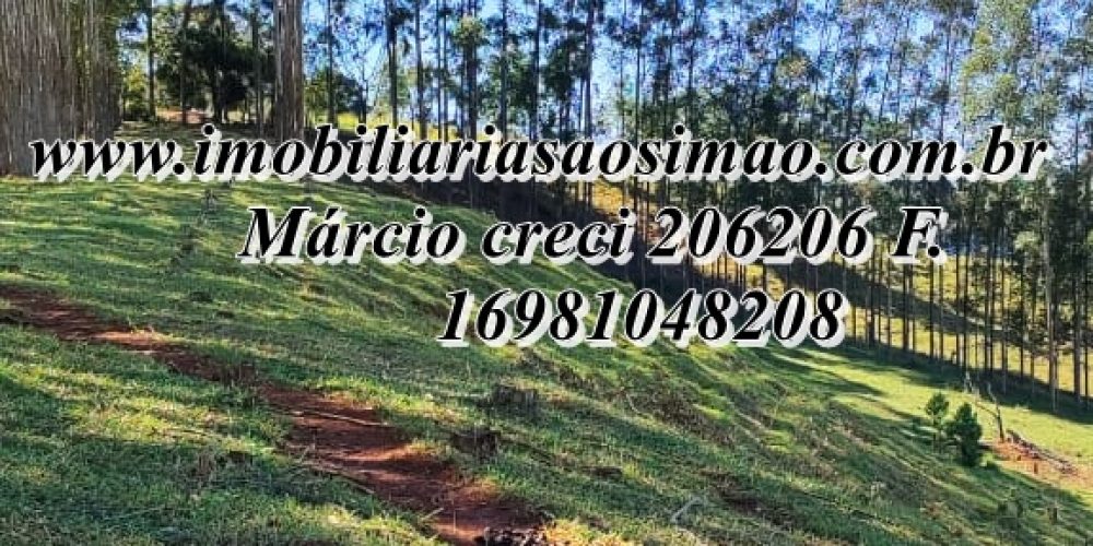 WhatsApp Image 2025-08-08 at 08.28.29 (1)