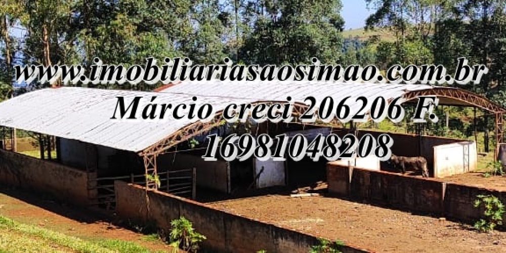 WhatsApp Image 2025-08-08 at 08.28.29