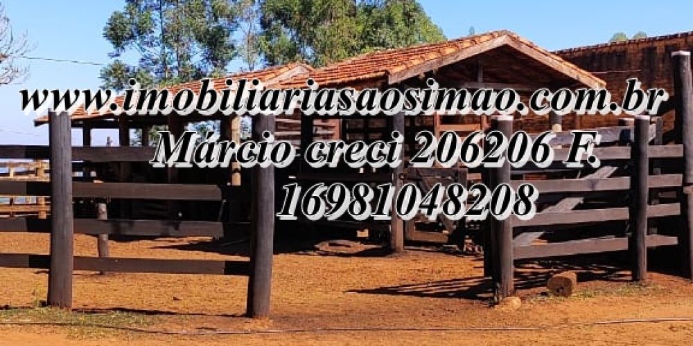 WhatsApp Image 2025-08-08 at 08.28.31 (2)