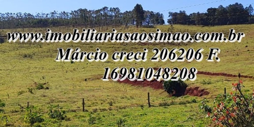 WhatsApp Image 2025-08-08 at 08.28.31