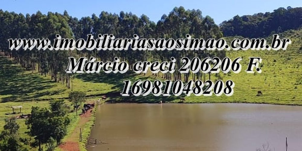 WhatsApp Image 2025-08-08 at 08.28.34